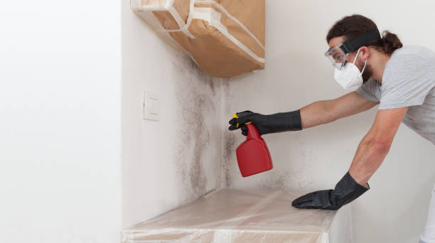 Professional Mold Removal technician working in Centereach, NY